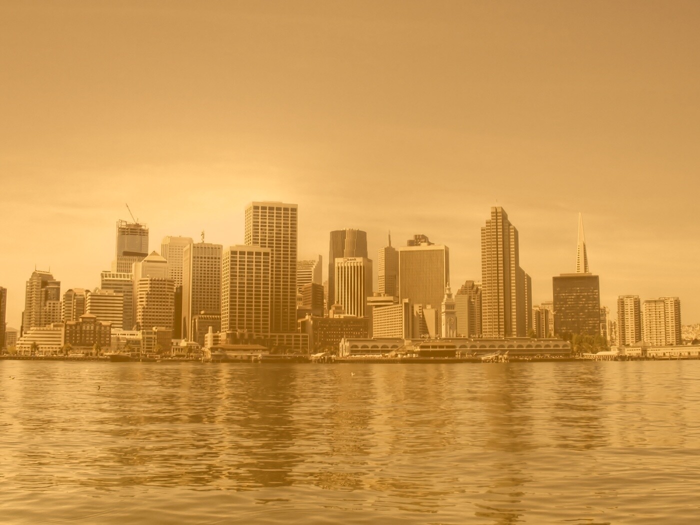 Небоскребы на береговой линии обои