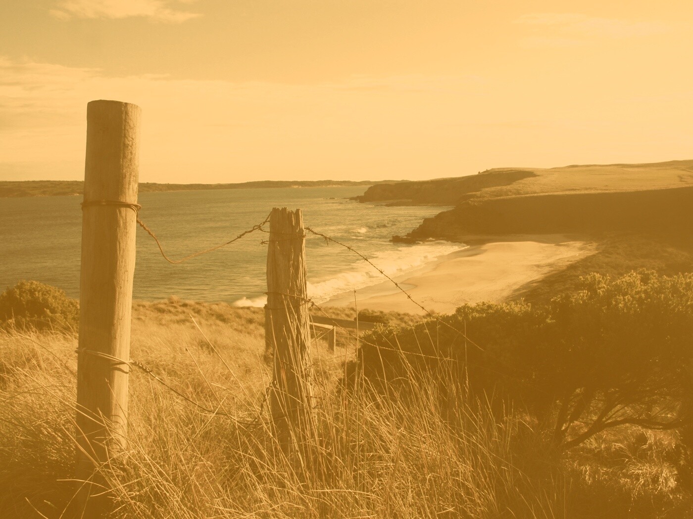 Пляж на озере обои