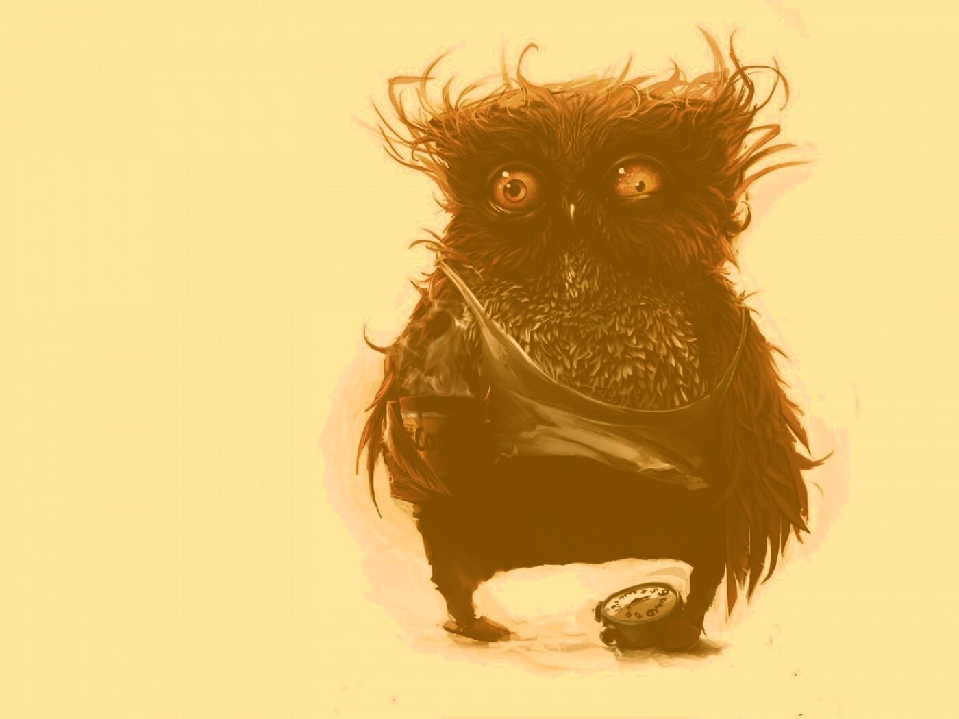 Не спящая сова обои