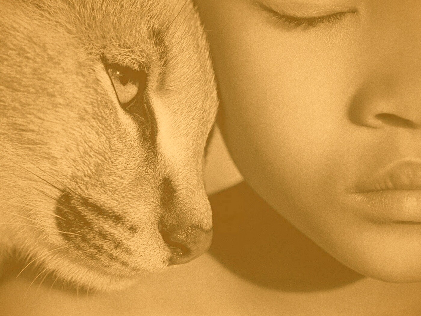 Человек и природа обои