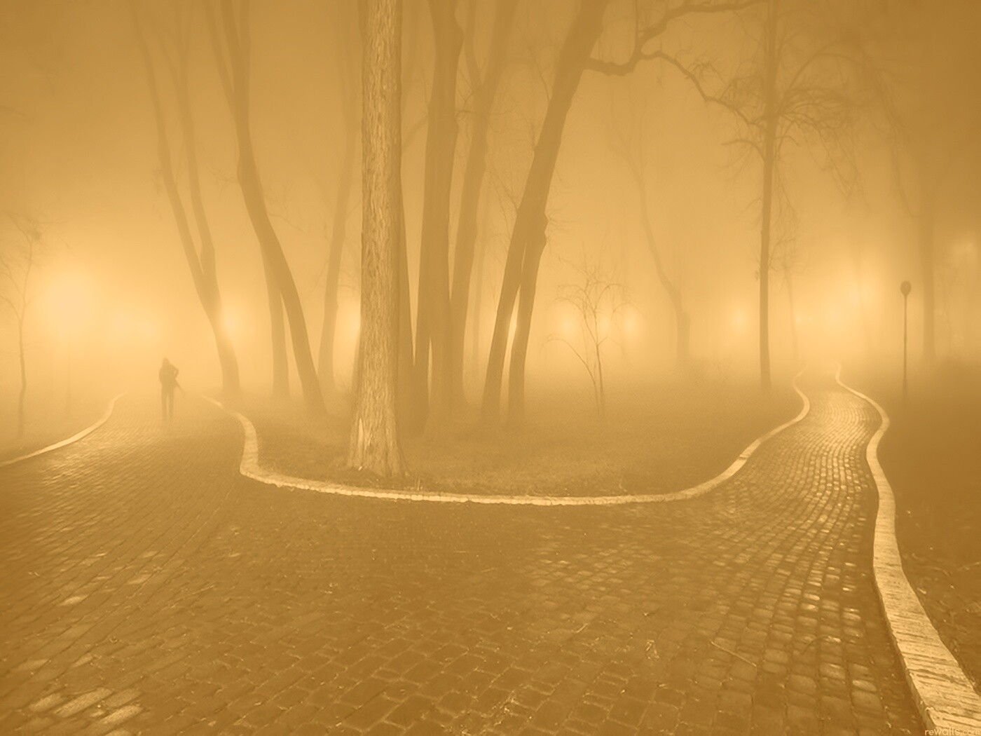 Пустынный лабиринт парковых дорожек обои