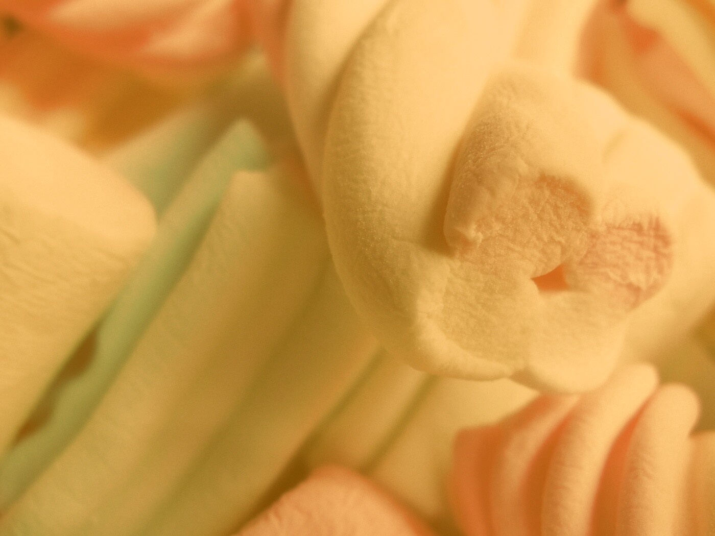 Кручёный зефир обои