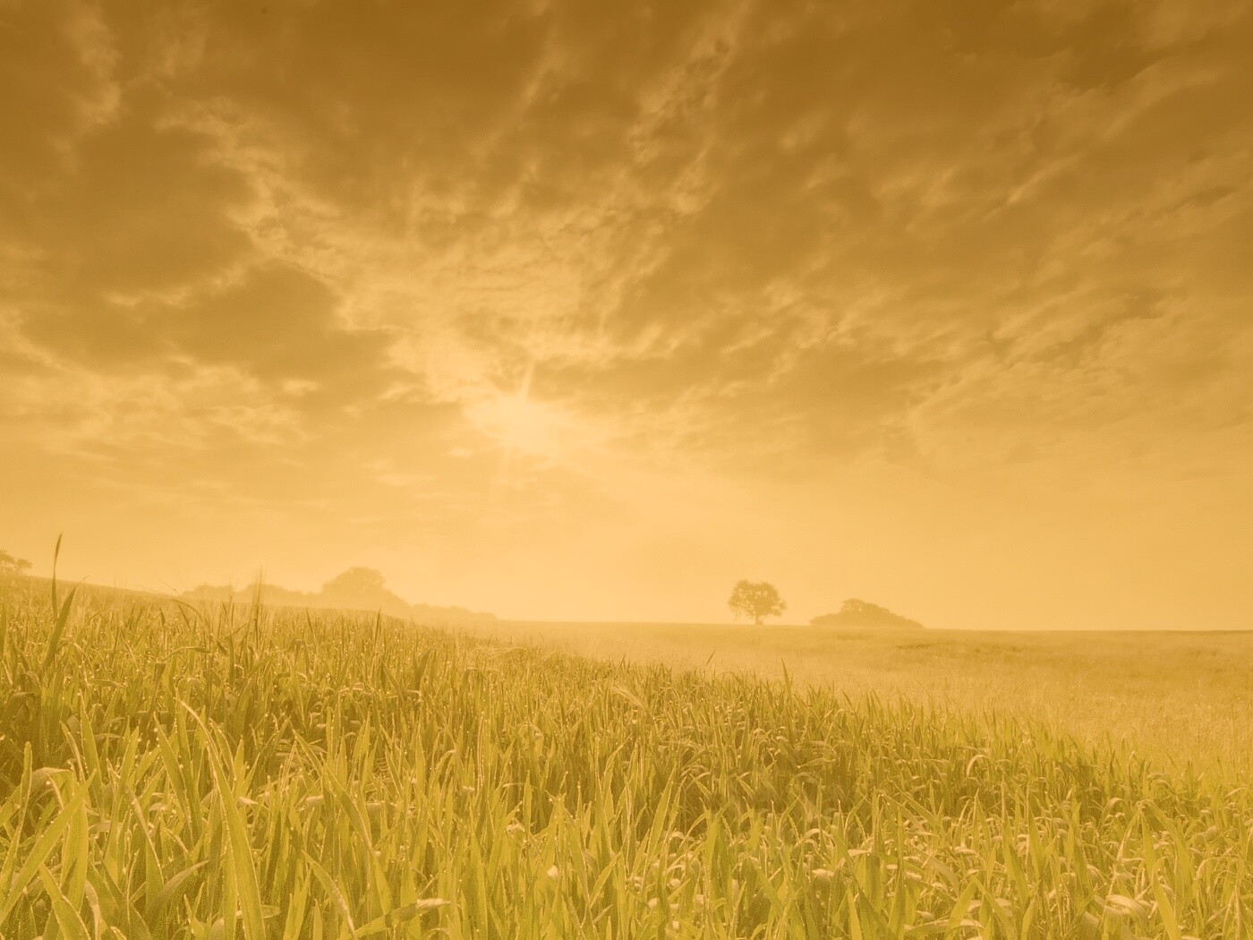 Безмятежность обои