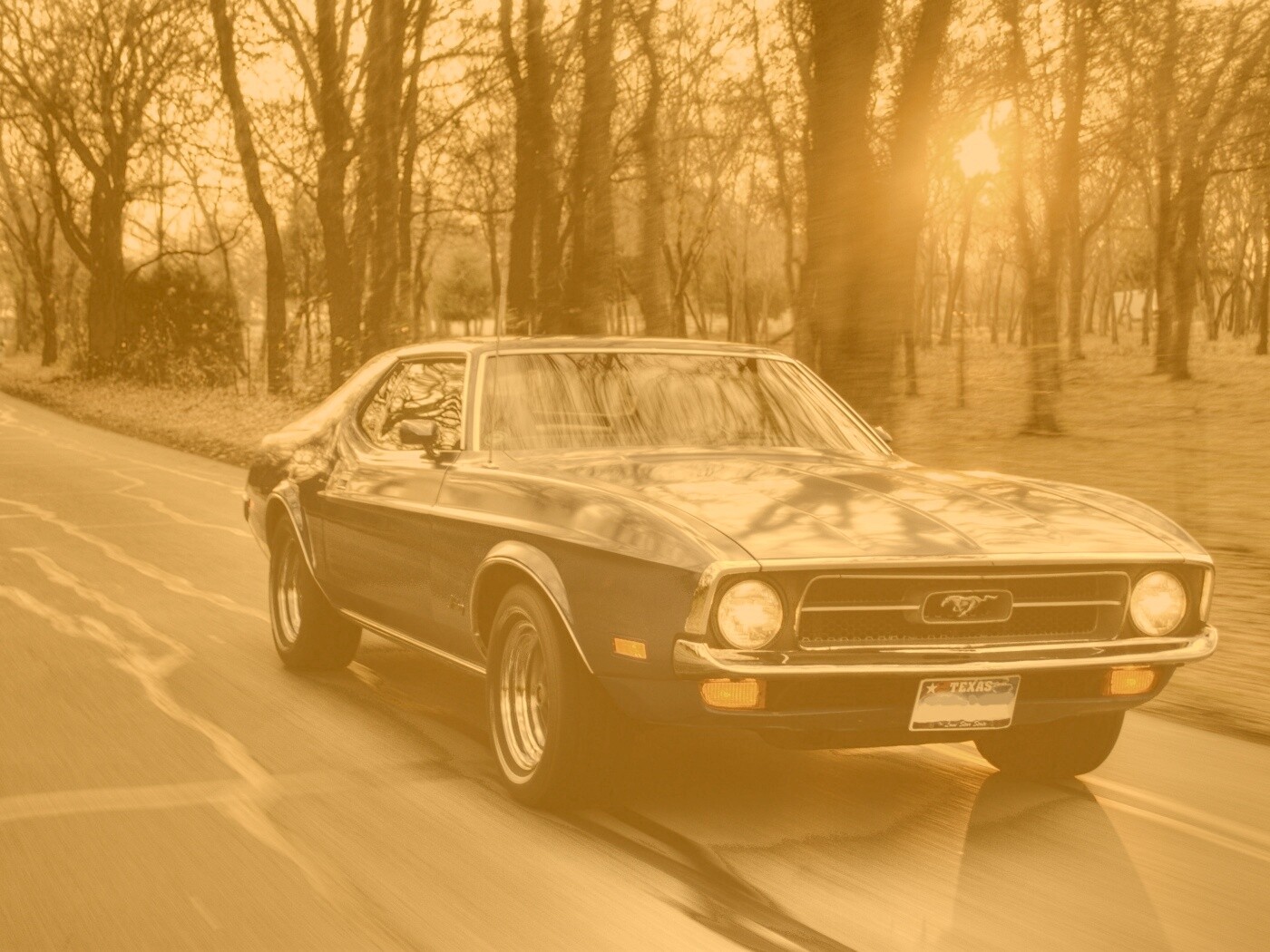 Мустанг обои