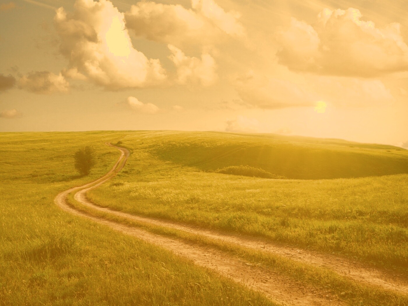 Дорога через луг обои