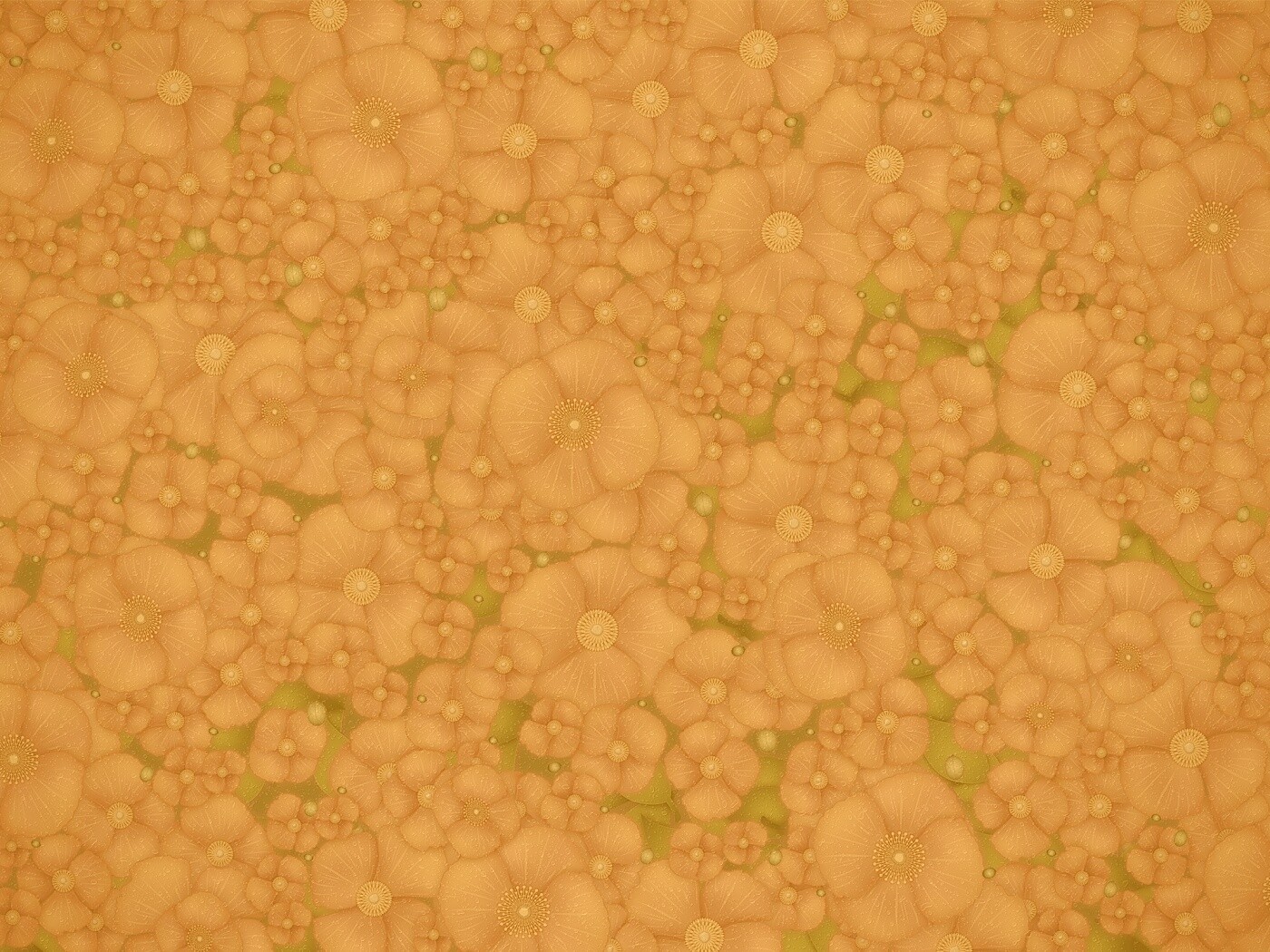 Рисунко с красными цветами обои