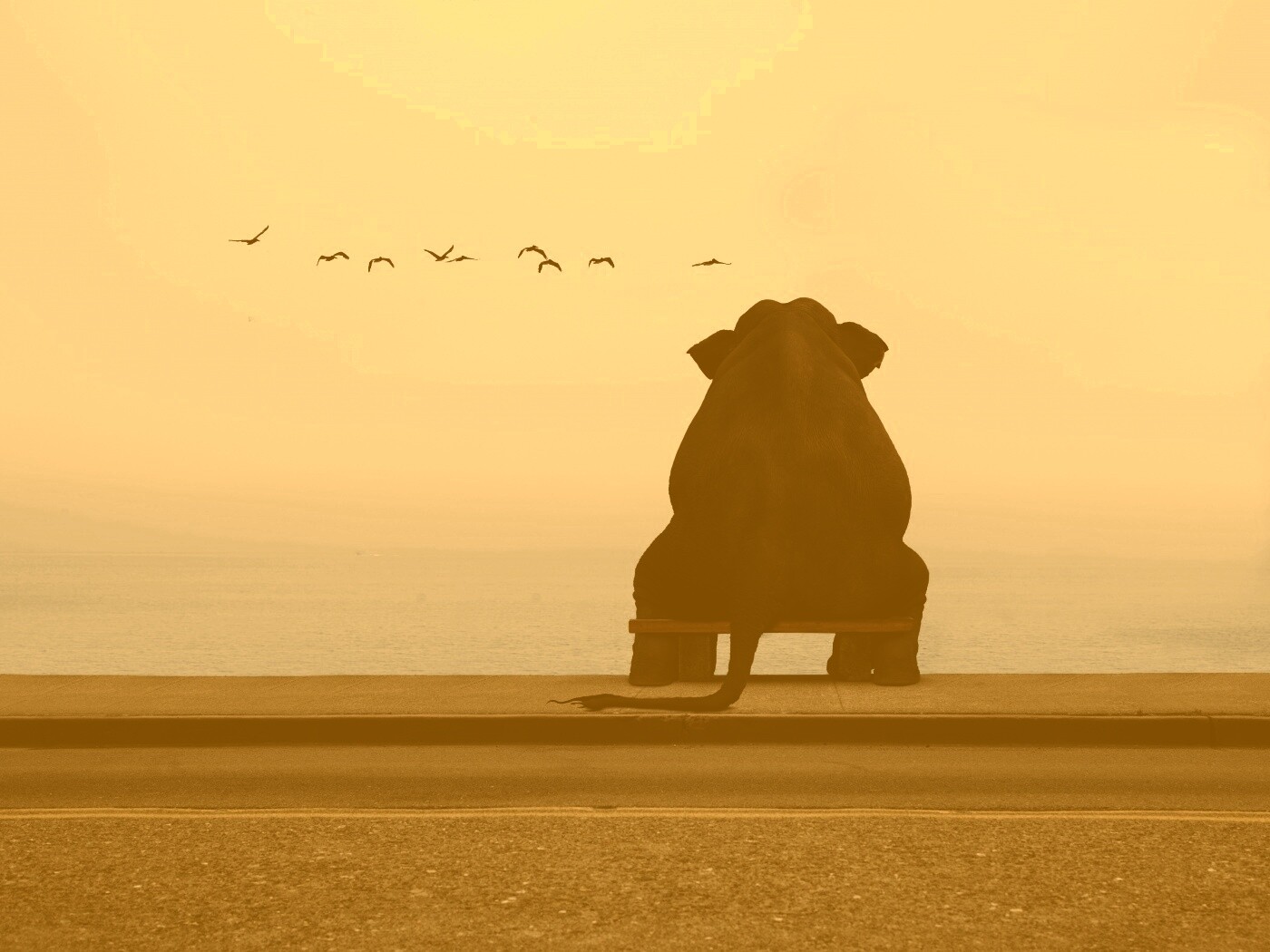 Слон на табуретке обои