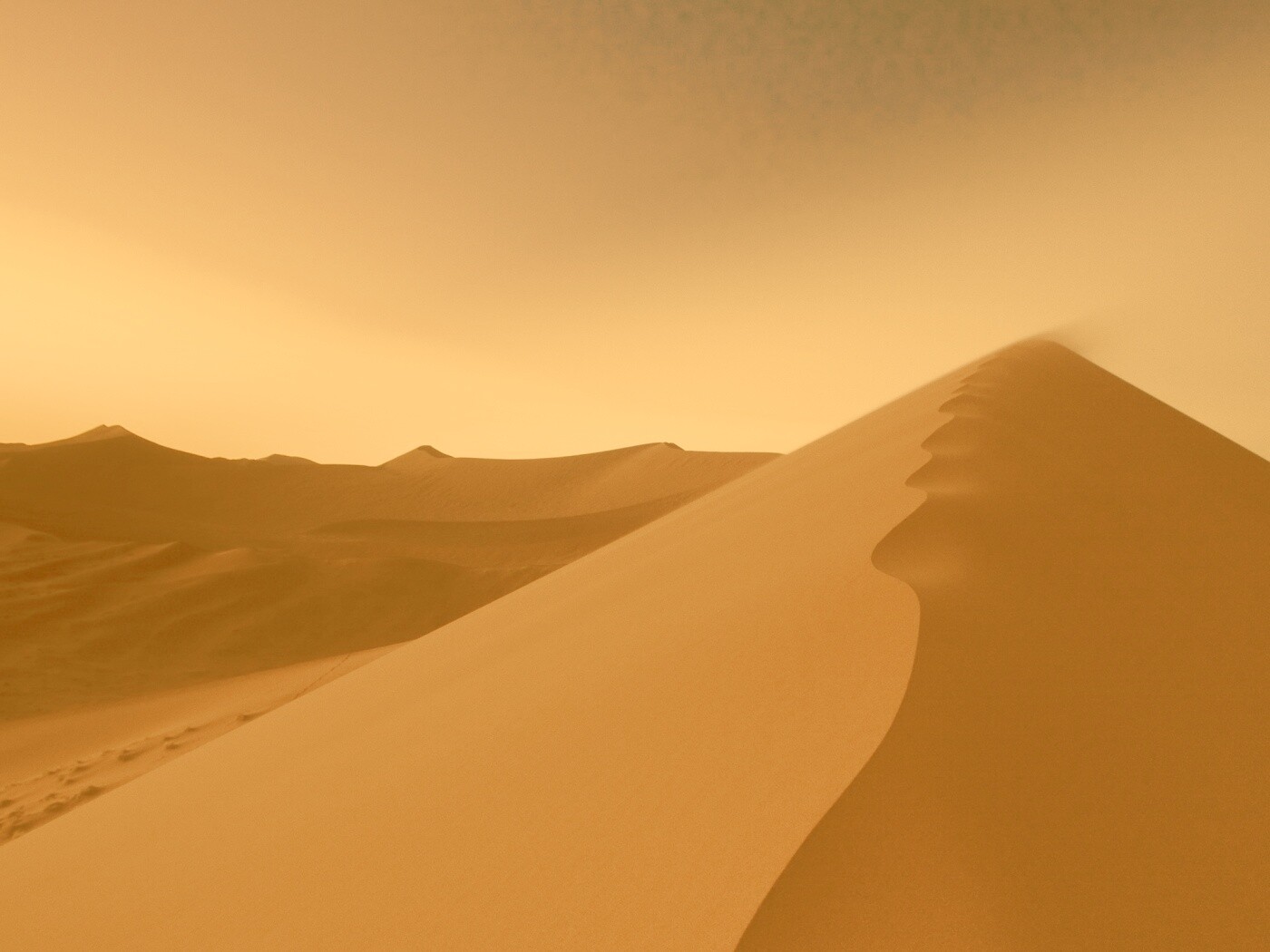 Люны в Намибии обои