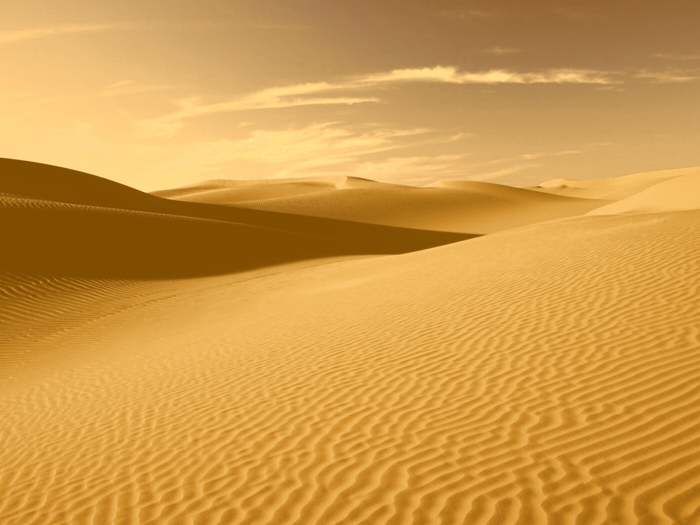 Пустыня Сахара обои