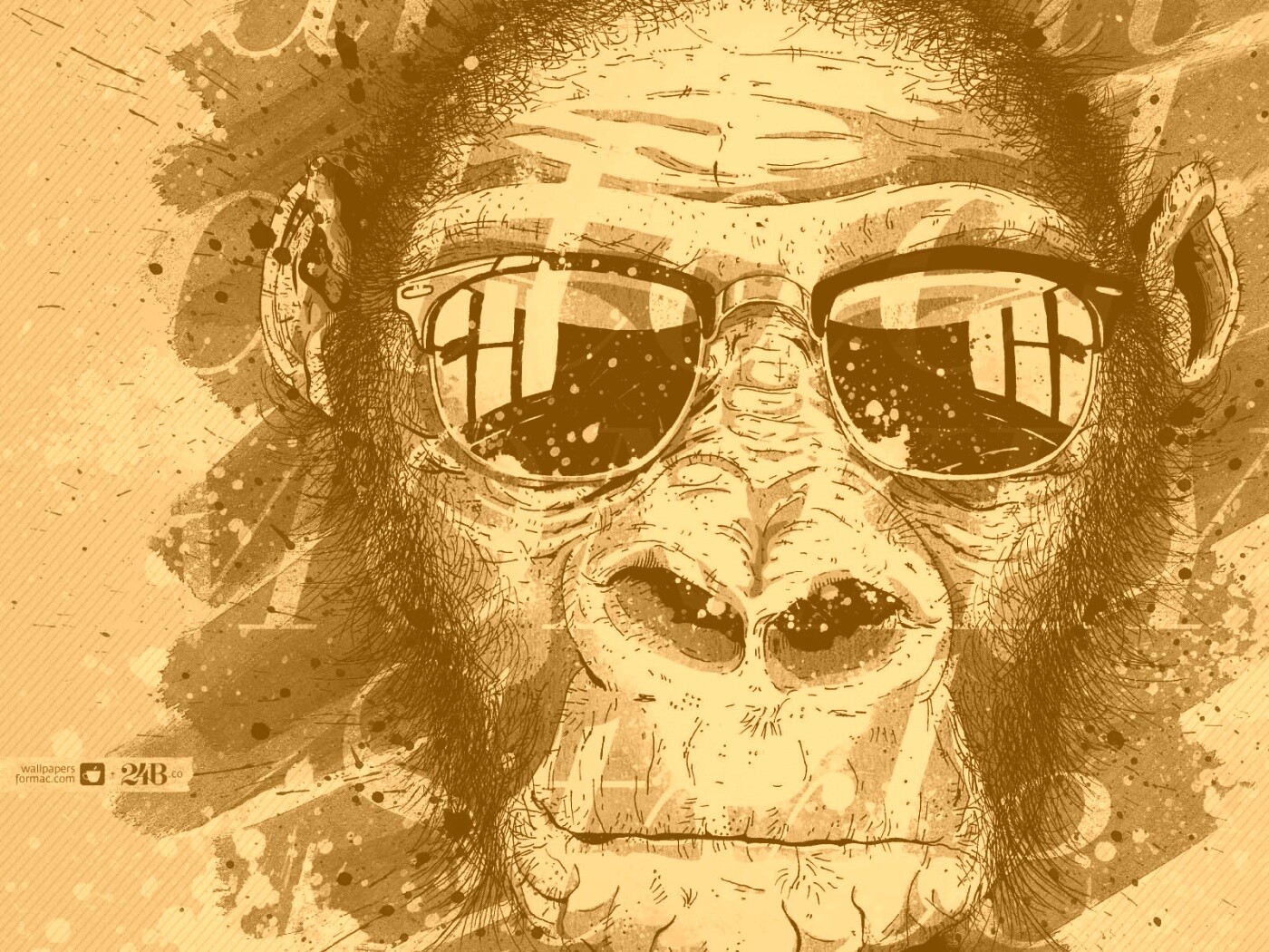 Макака в очках обои