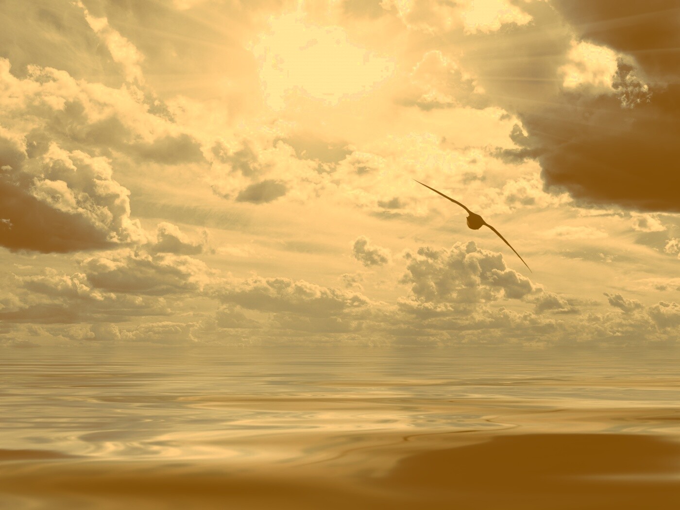 Лети как птица над волнами обои