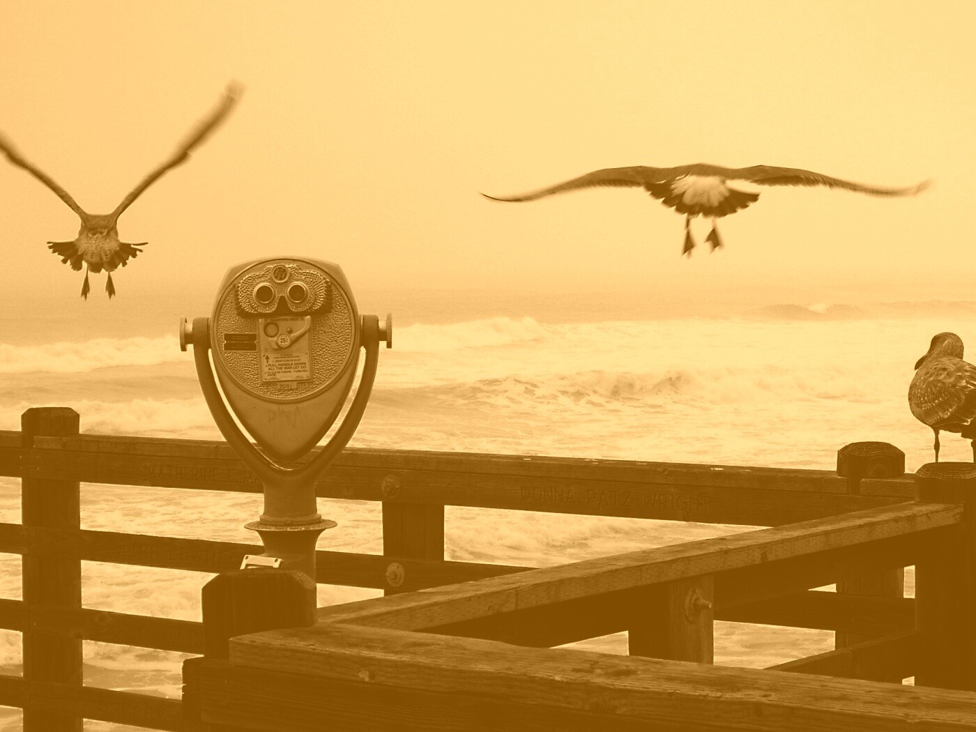 Чайки на перилах пирса обои