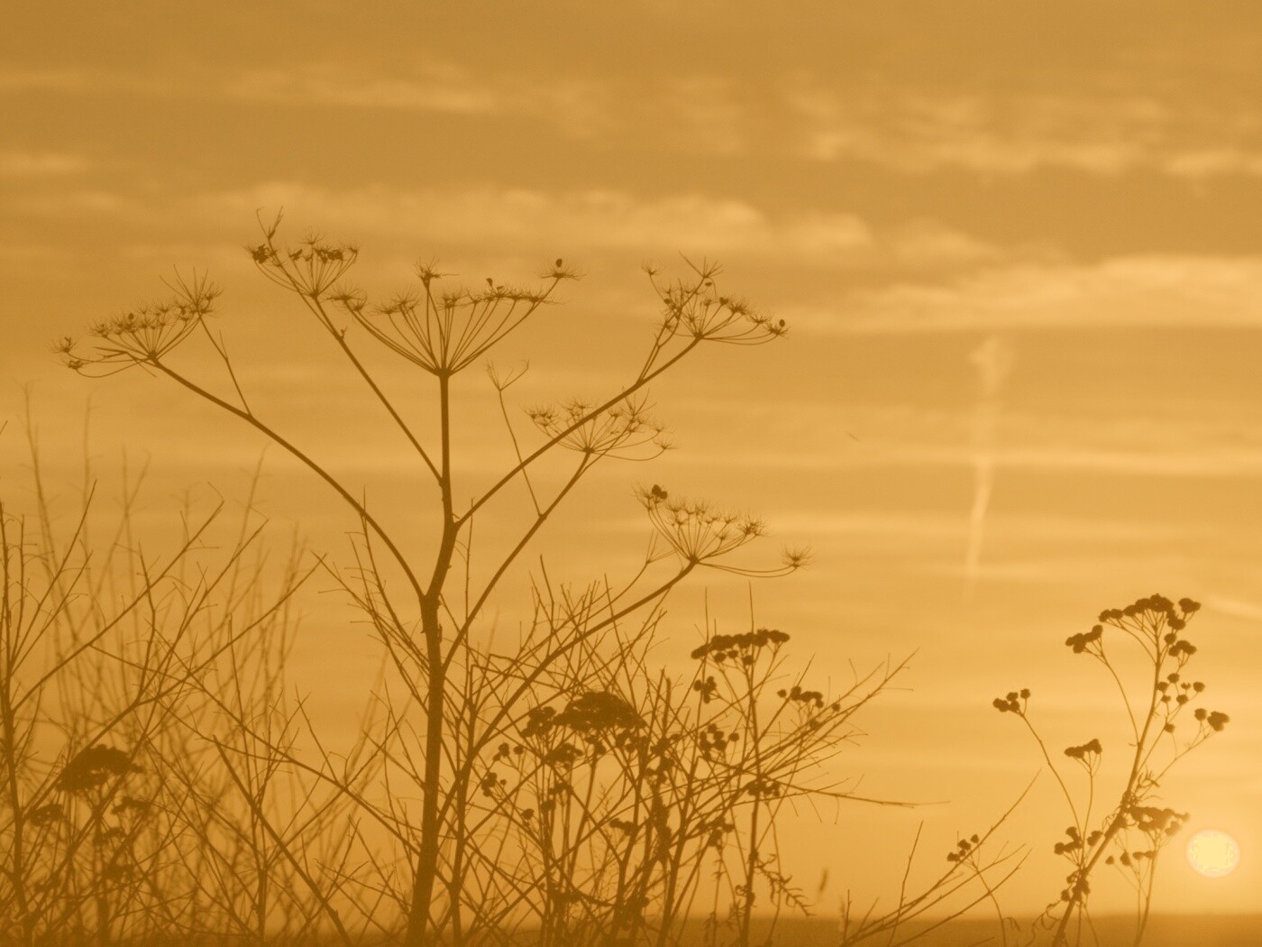 Степной закат обои