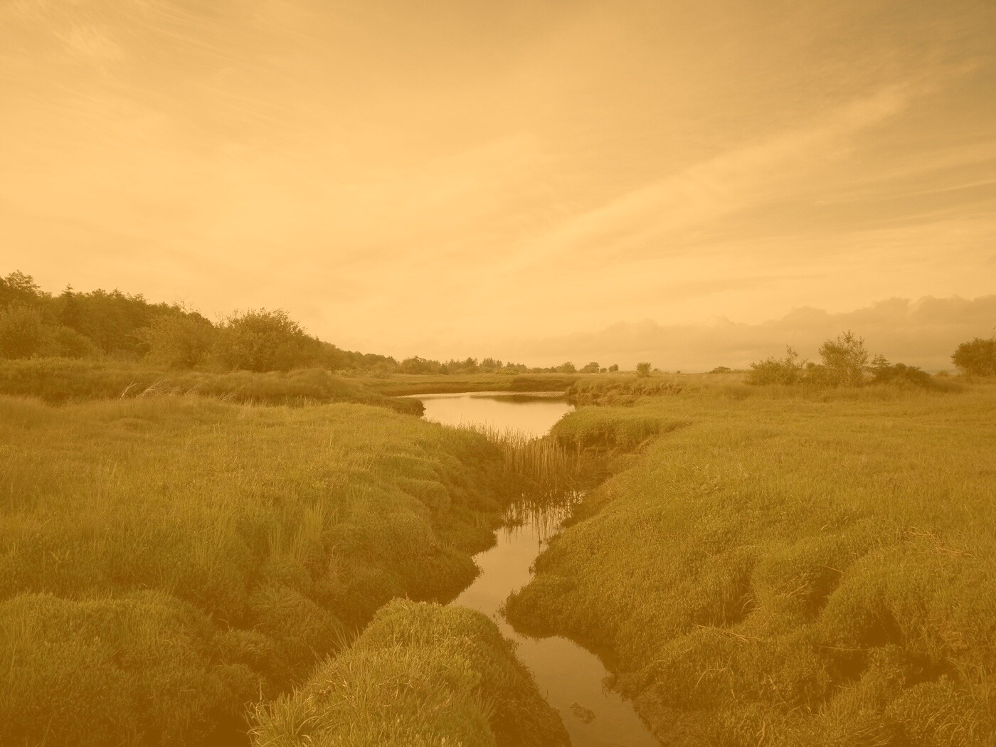 Канава и пруд обои