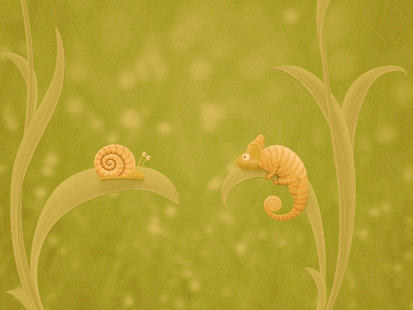 Хамелеон замаскированный под улитку обои