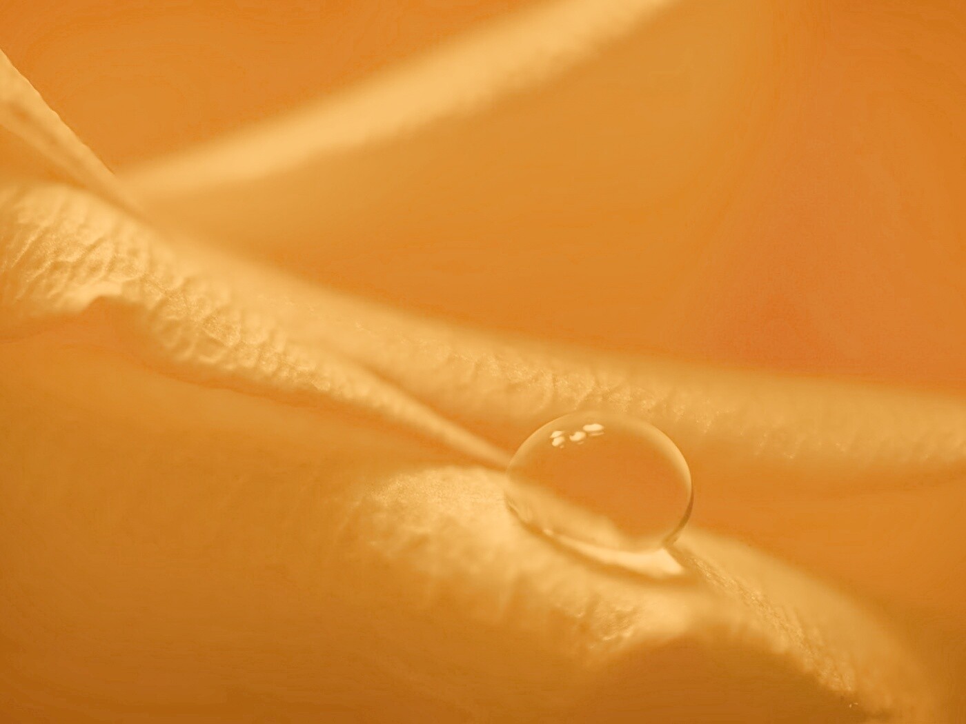 Капелька обои