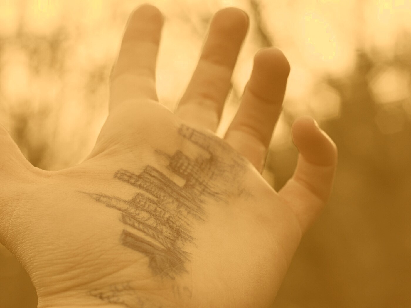 Город на ладони обои