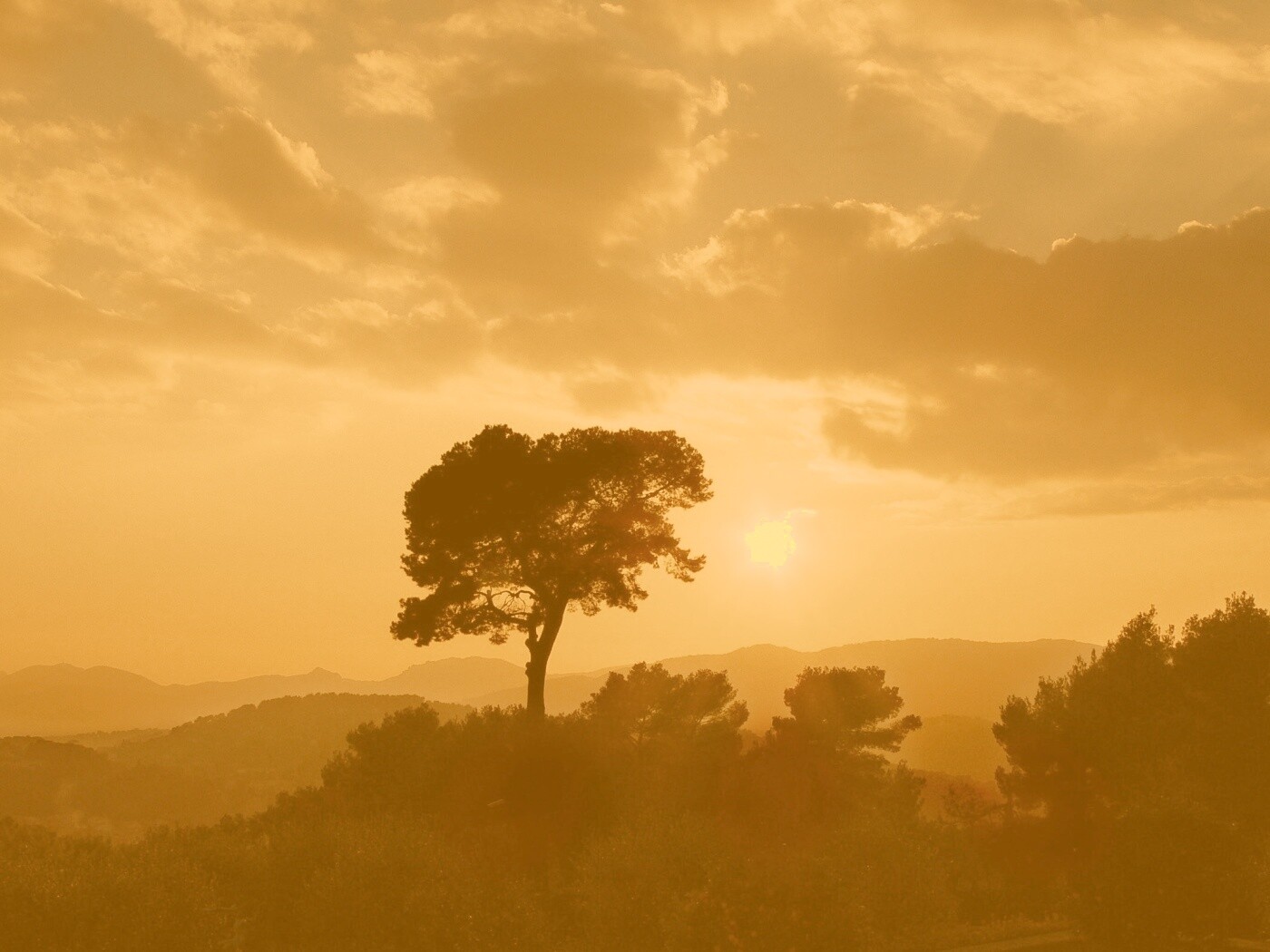 Закат над холмами обои