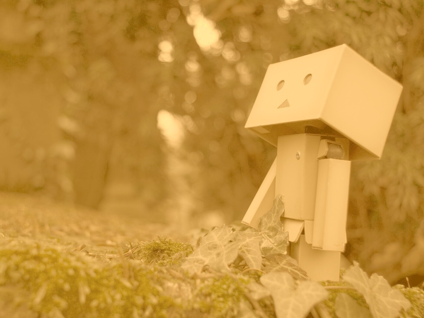 Danbo смотрит вверх обои