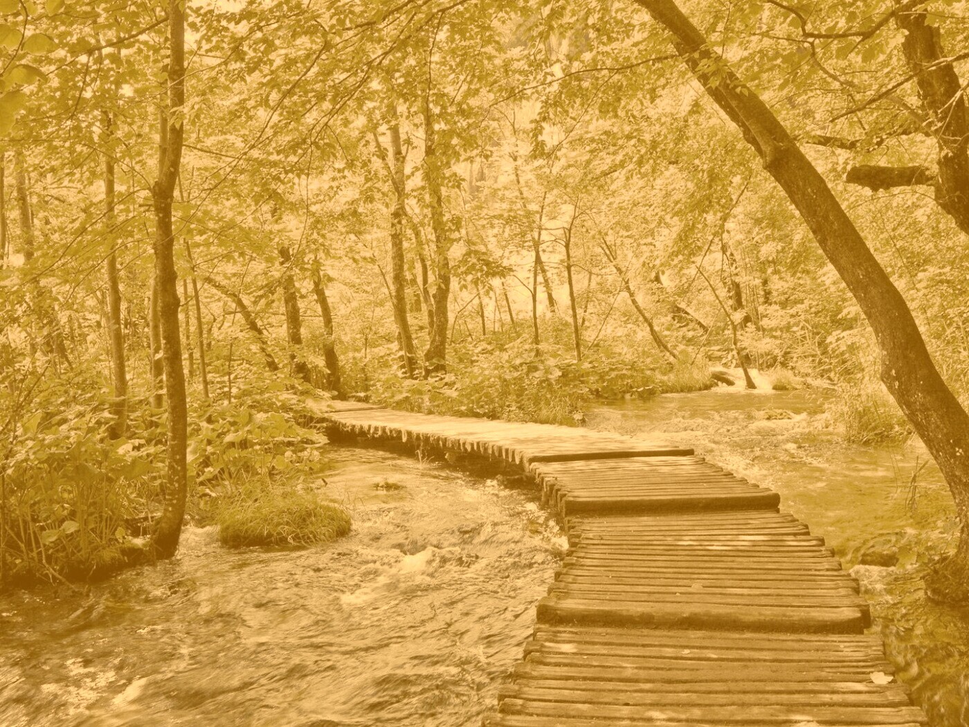 Тропинка над водой обои