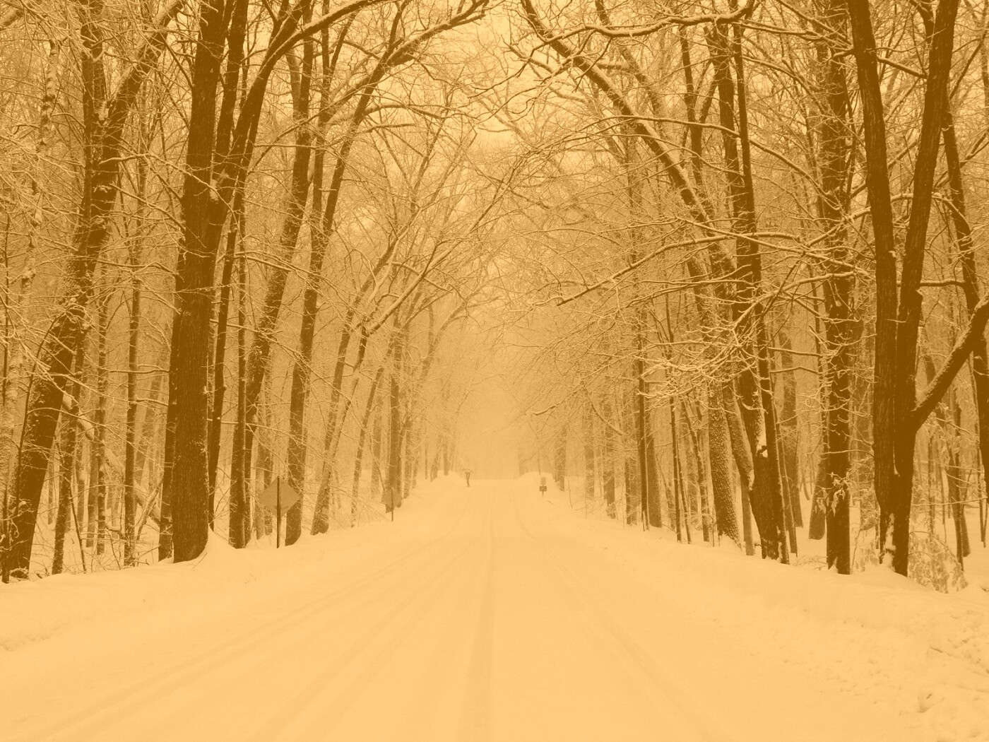 Дорога зимой в парке обои