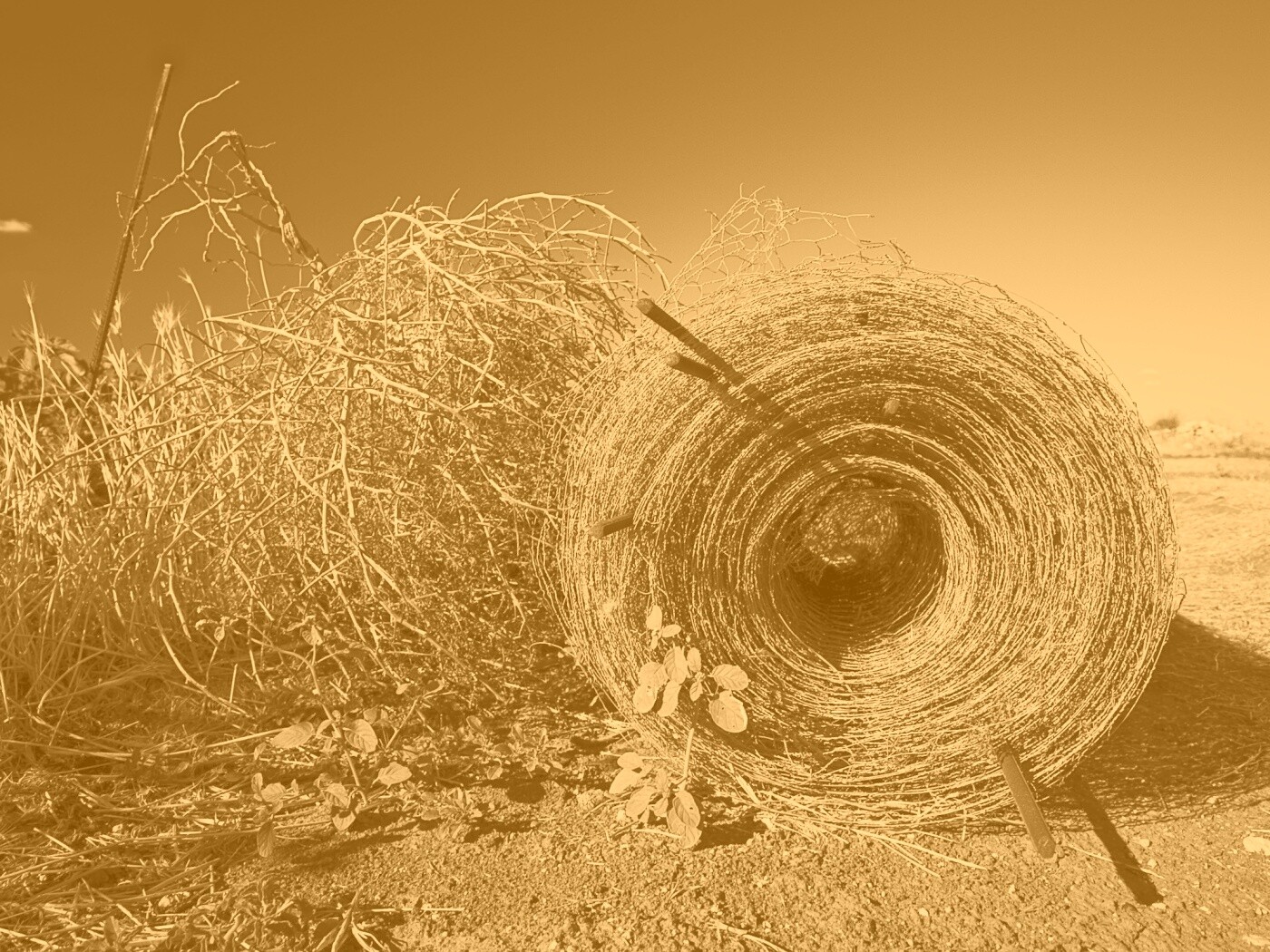 Клубок сена обои
