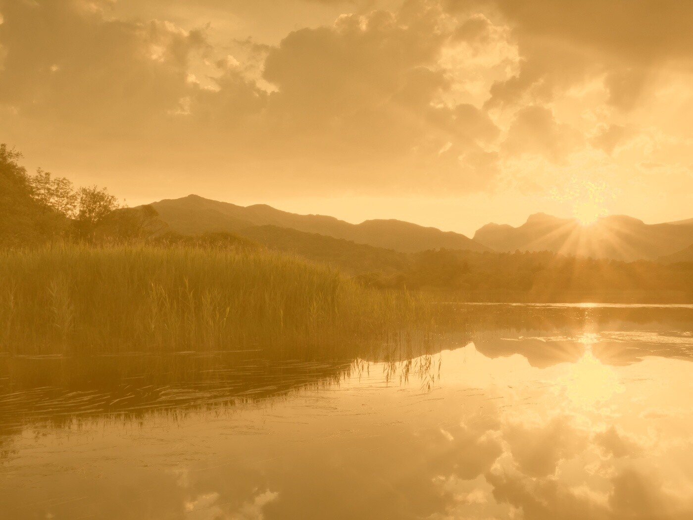 Закат за лесом обои