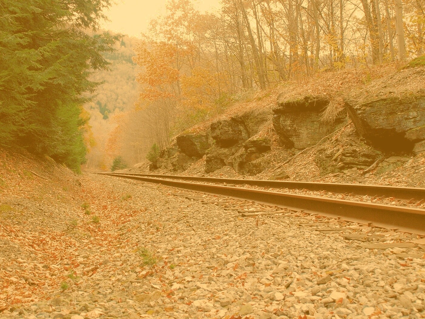 Железная дорога в скалистой местности обои