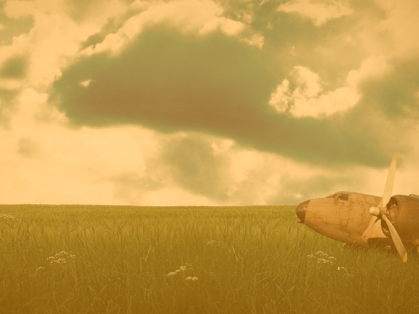 Старый ржавый самолет на лугу обои