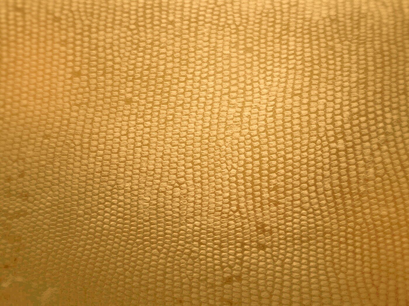 Чешуйчатые обои обои