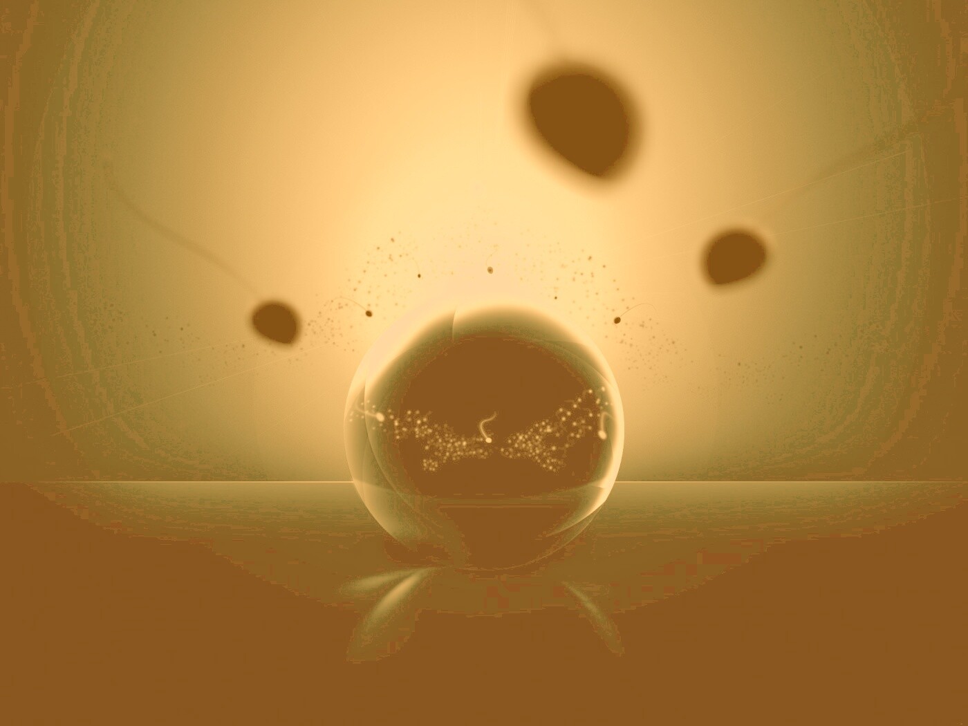 Оплодотворение обои