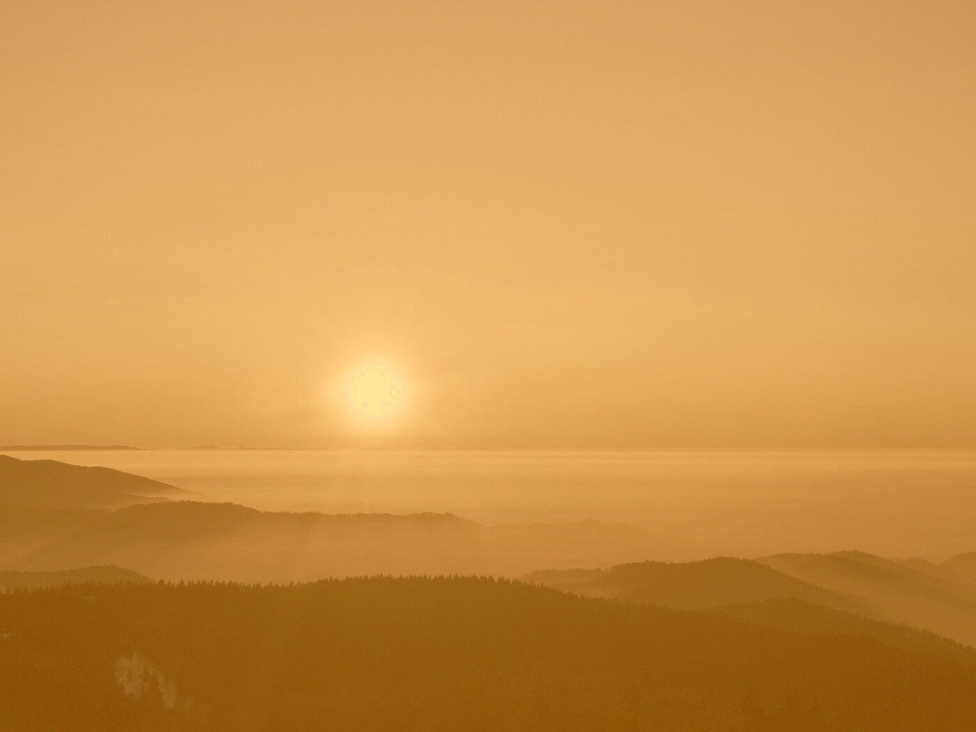 Восход солнца над лесом обои