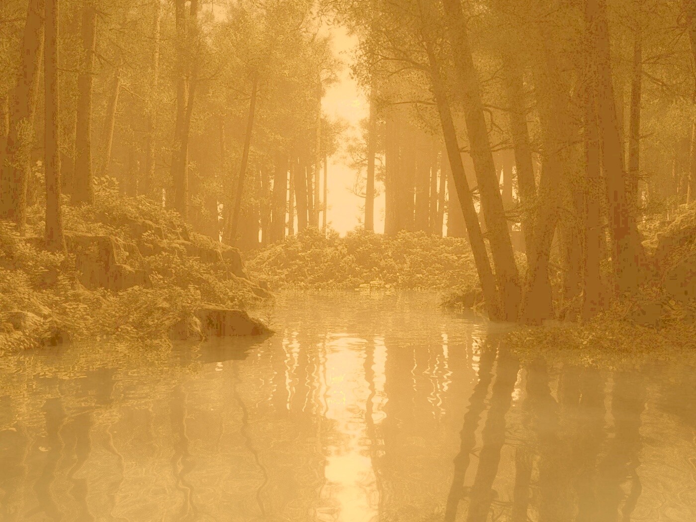 Болото в лесу обои