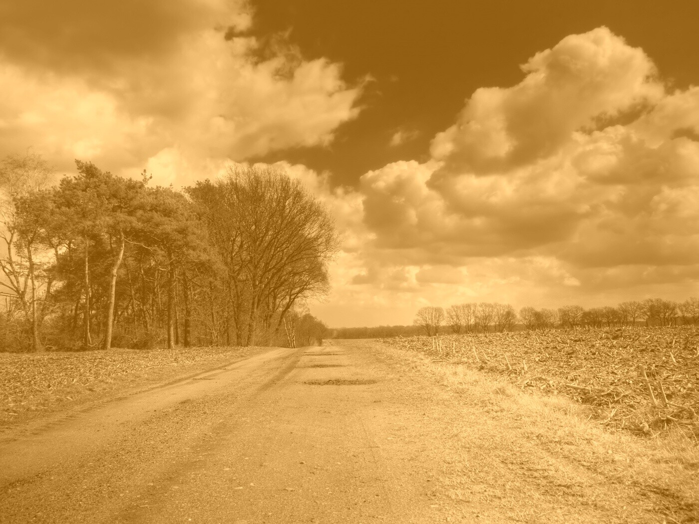 Дорога через поле обои