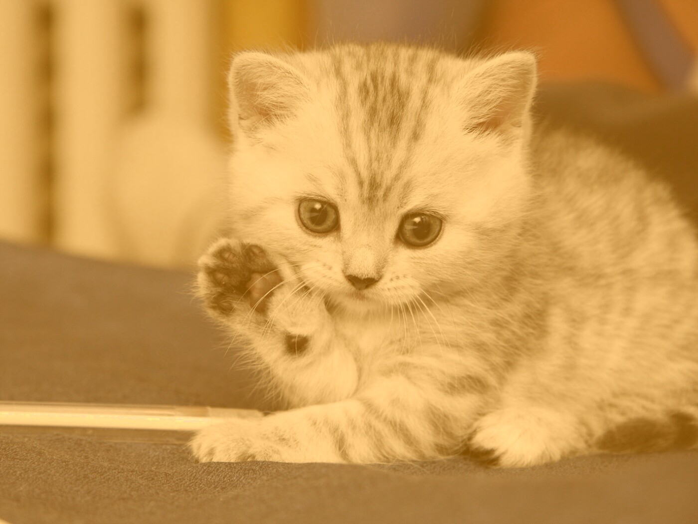 Приветики! обои