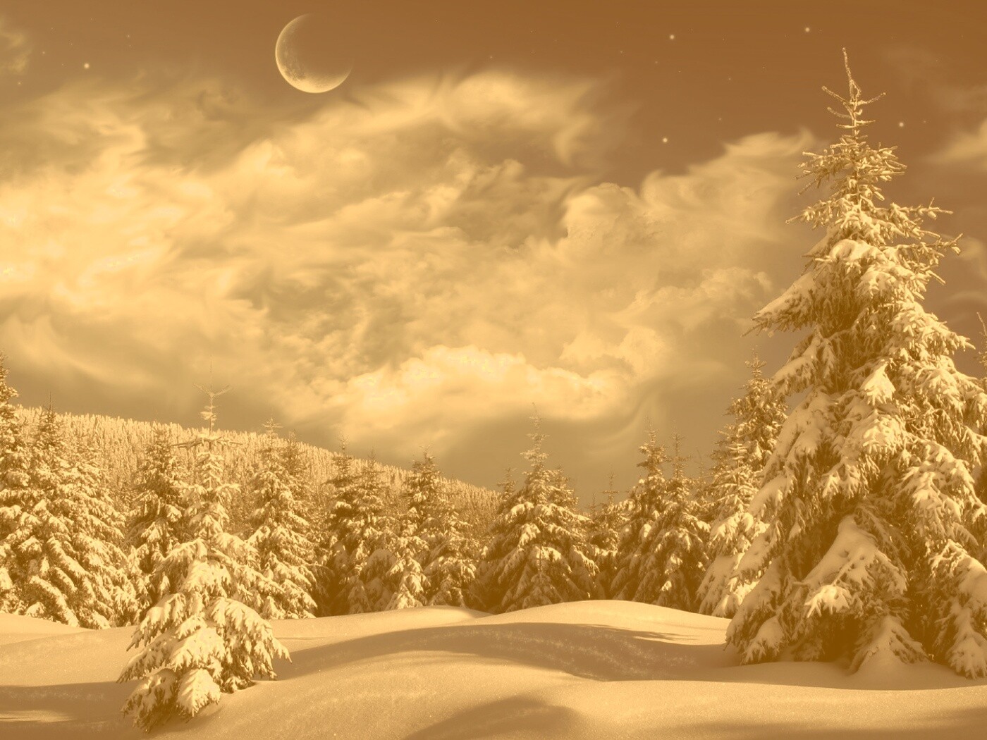 Зимний еловый лес обои