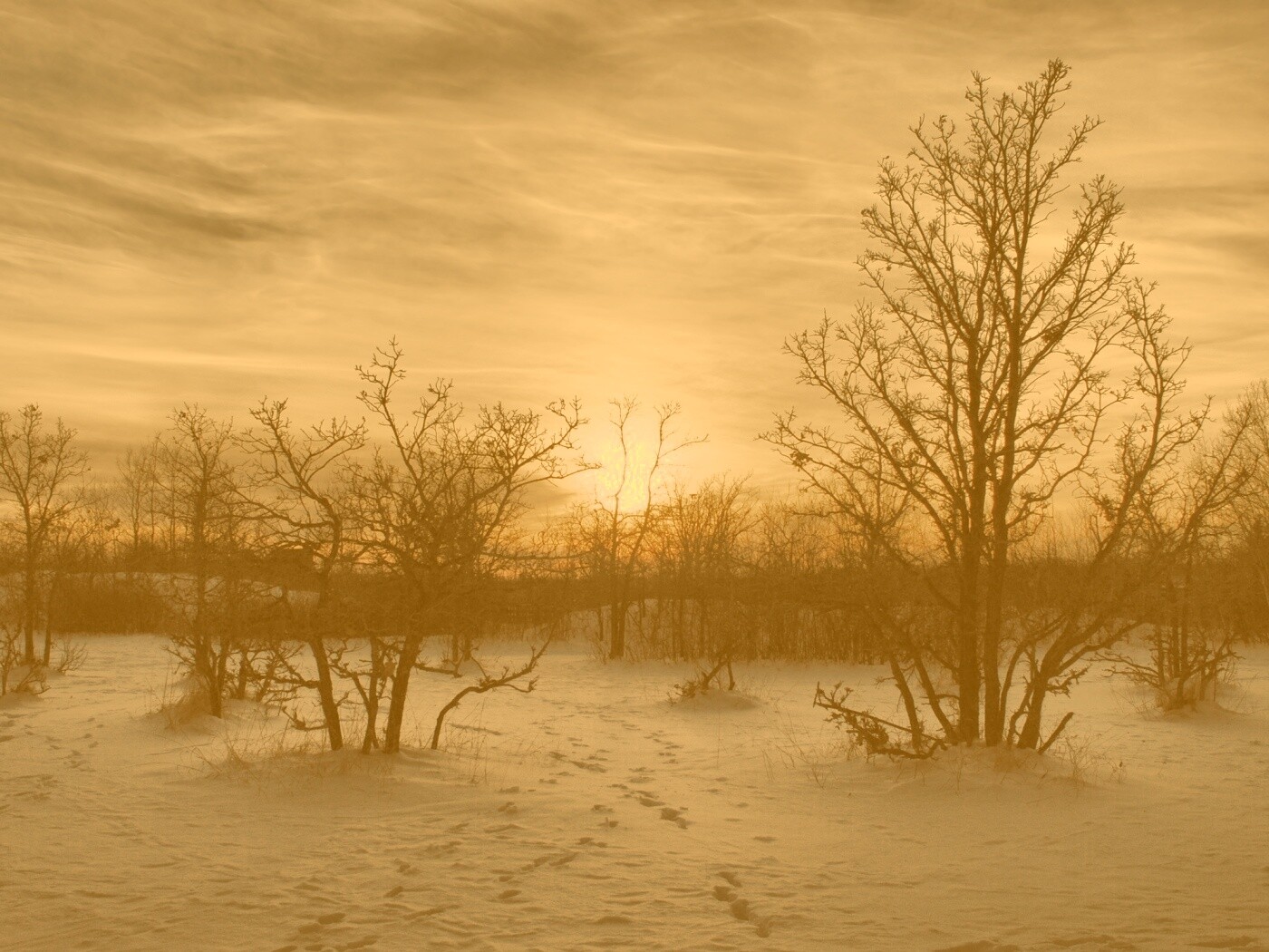 Закат в зимнем лесу обои