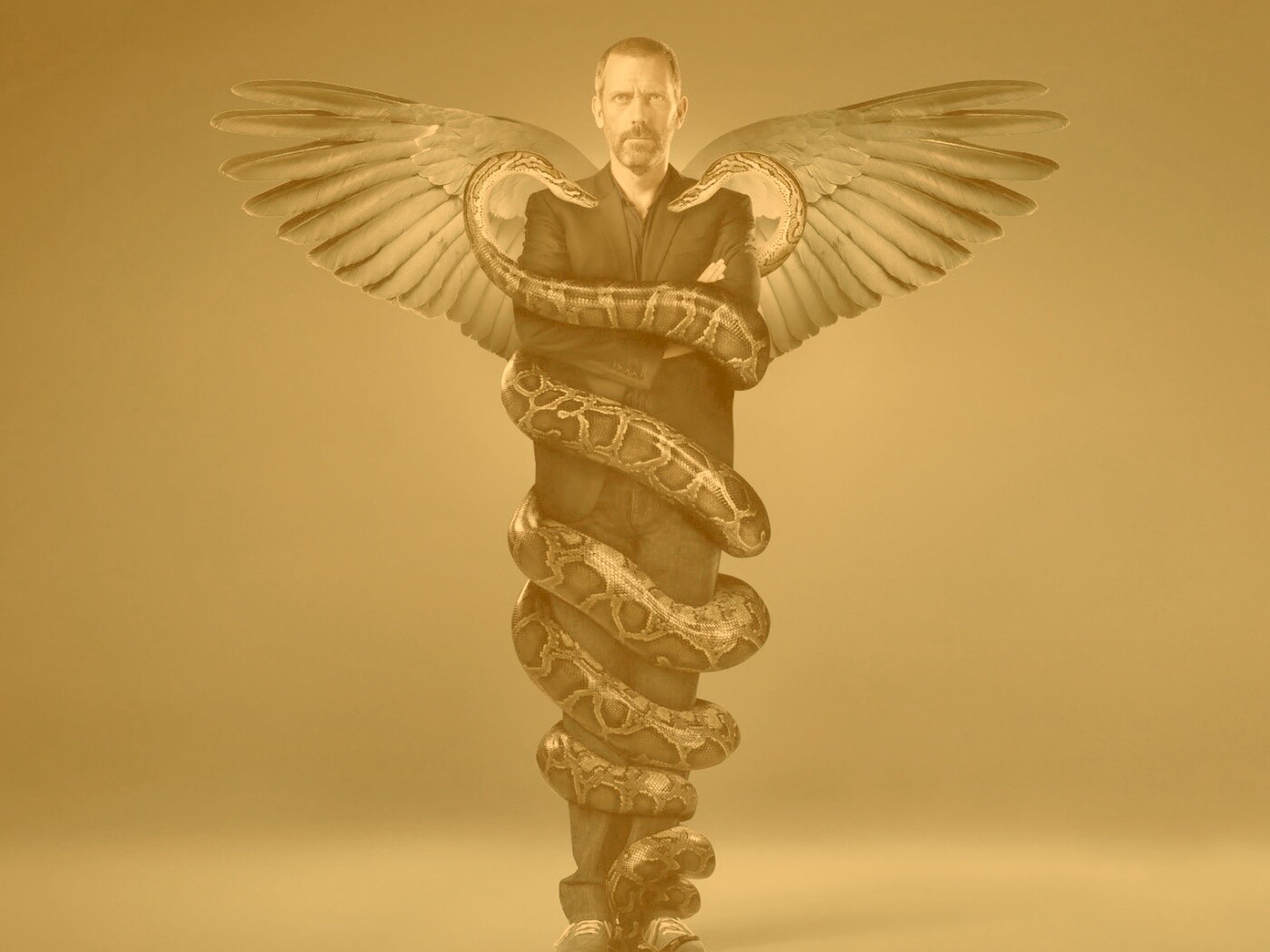 Заставка шестого сезона HOUSE M.D. обои