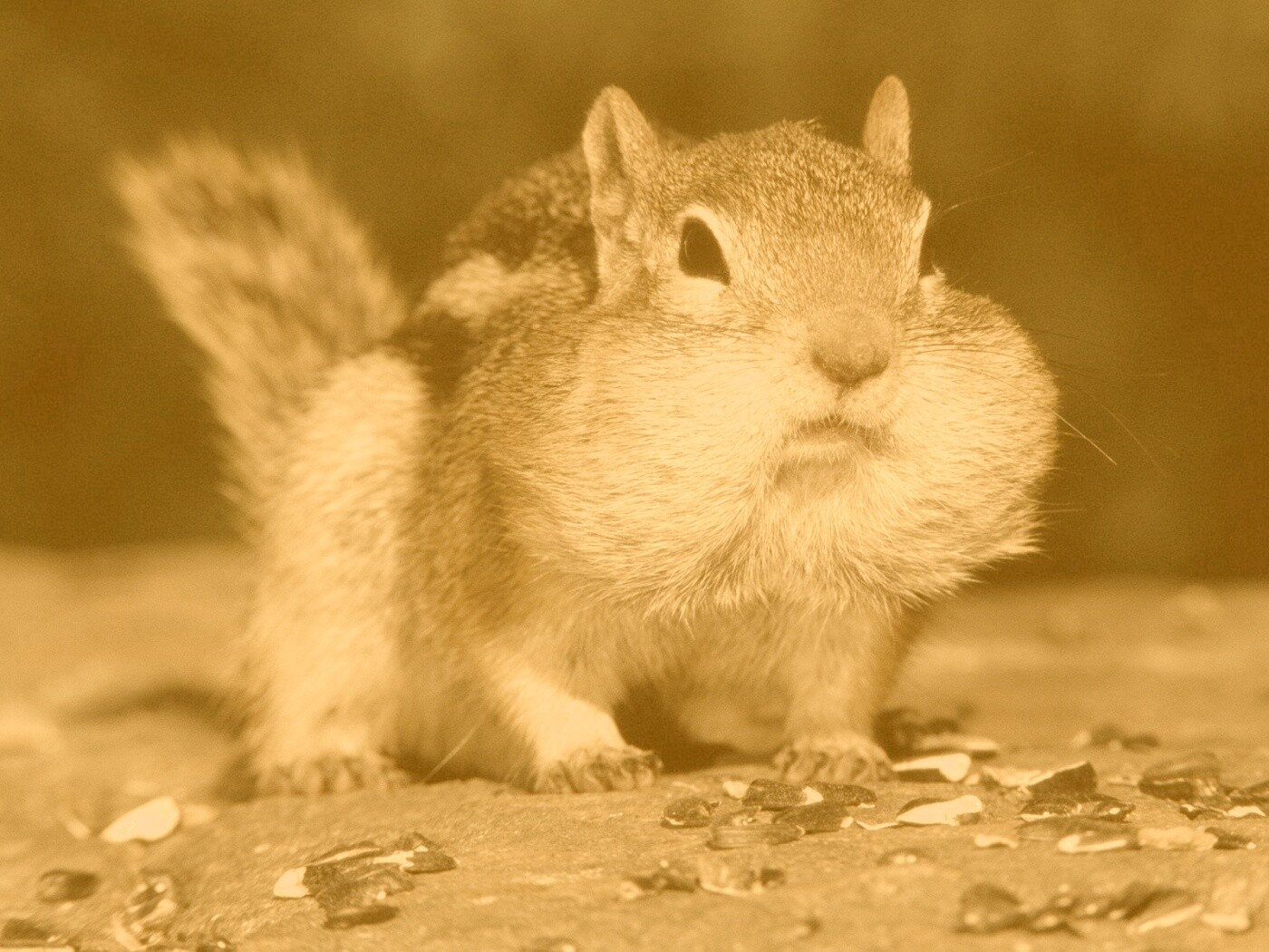 Не жадный, а бережливый обои