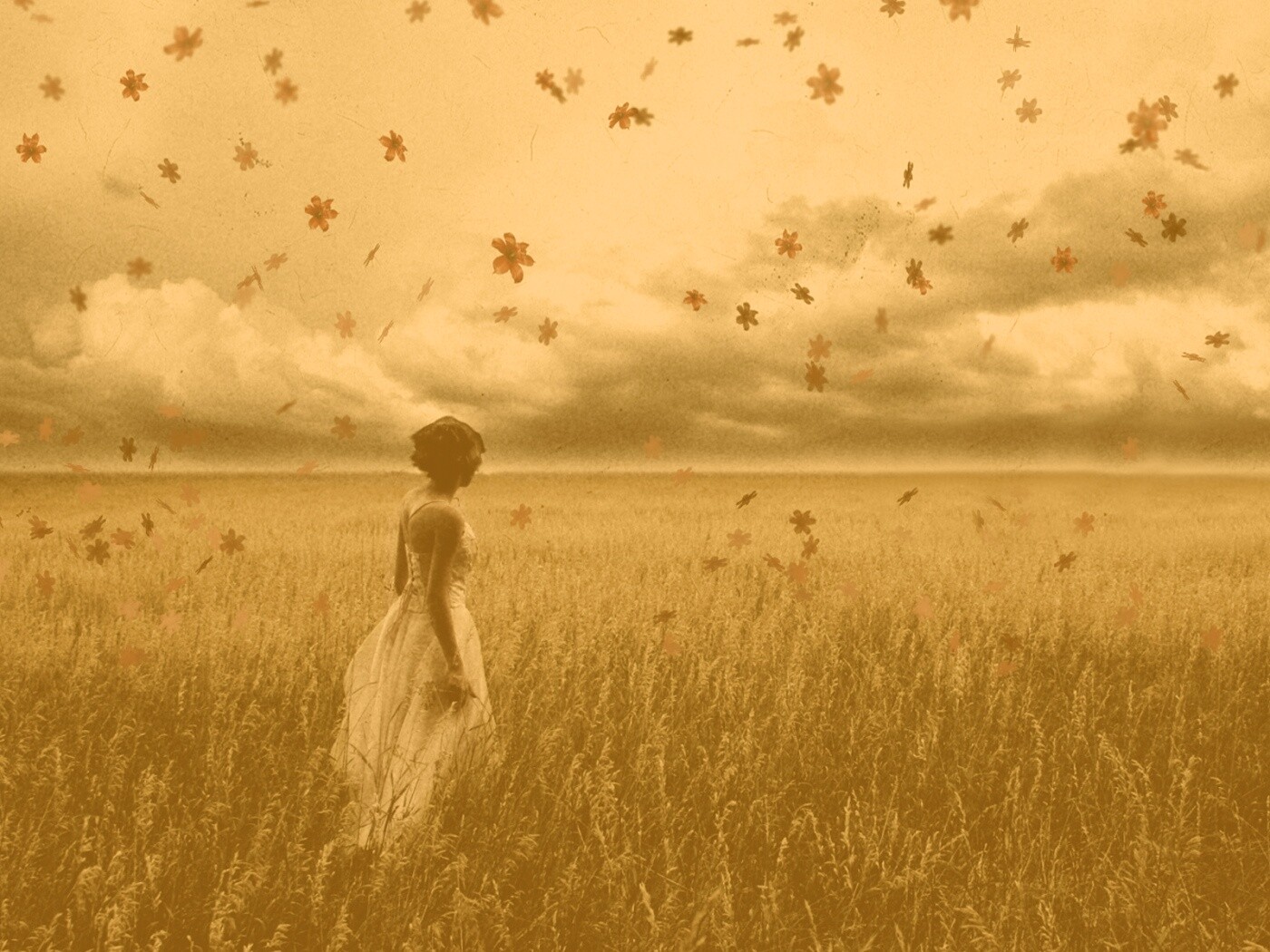 Грустная девушка в поле травы обои