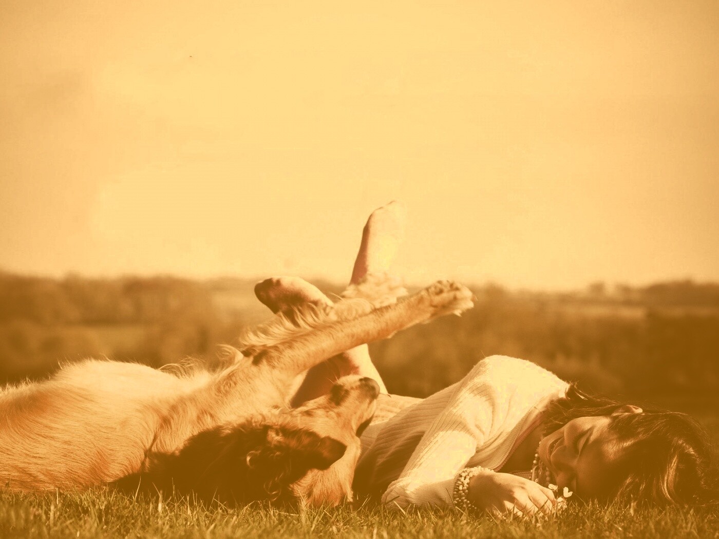 Девушка и собака валяются на траве обои