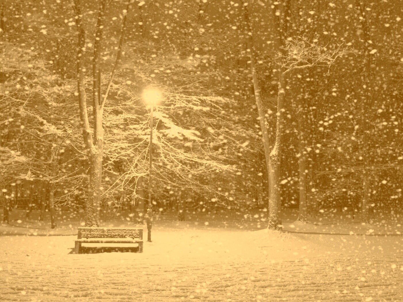 Ночь..улица..фонарь..скамейка.. обои