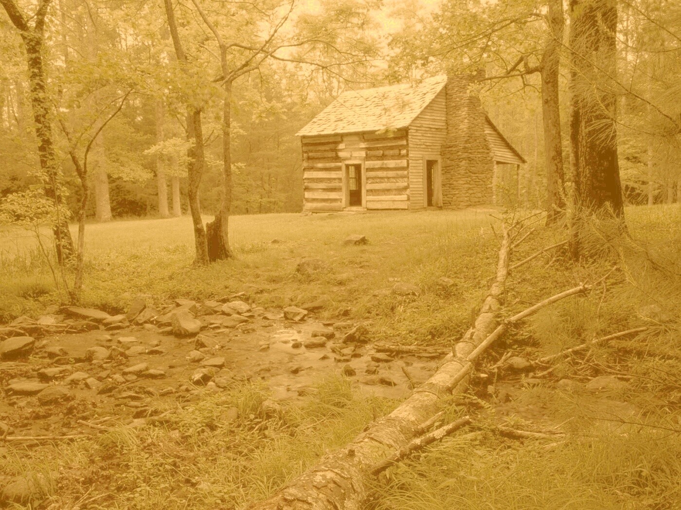 Домик в лесу обои