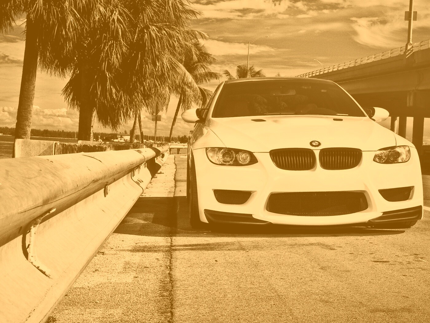 BMW в тропиках обои