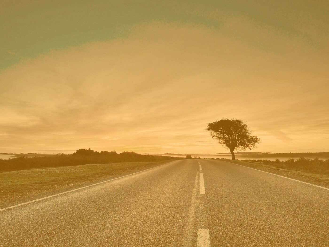 Дорога обои