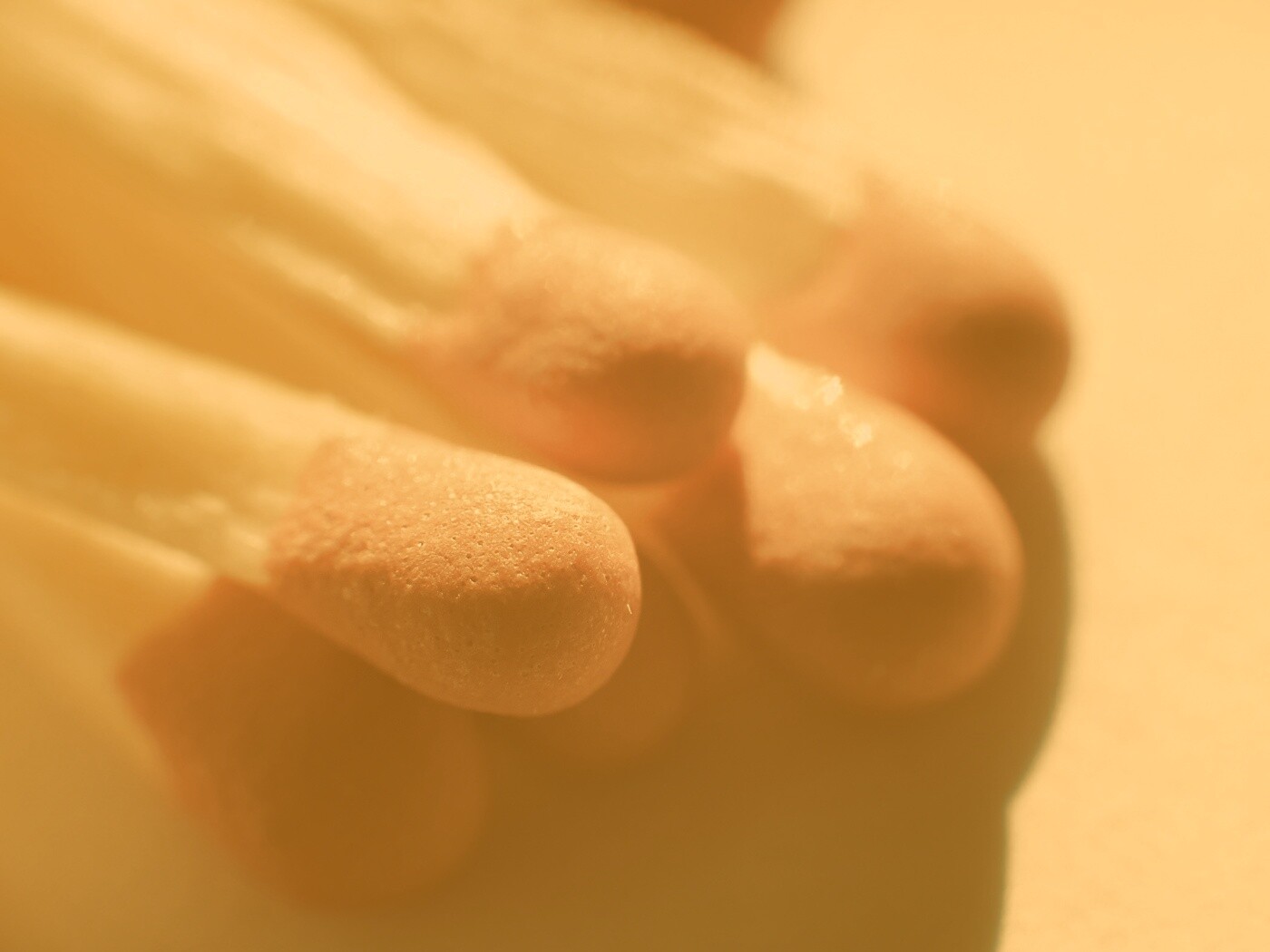 Спички в макро съемке обои