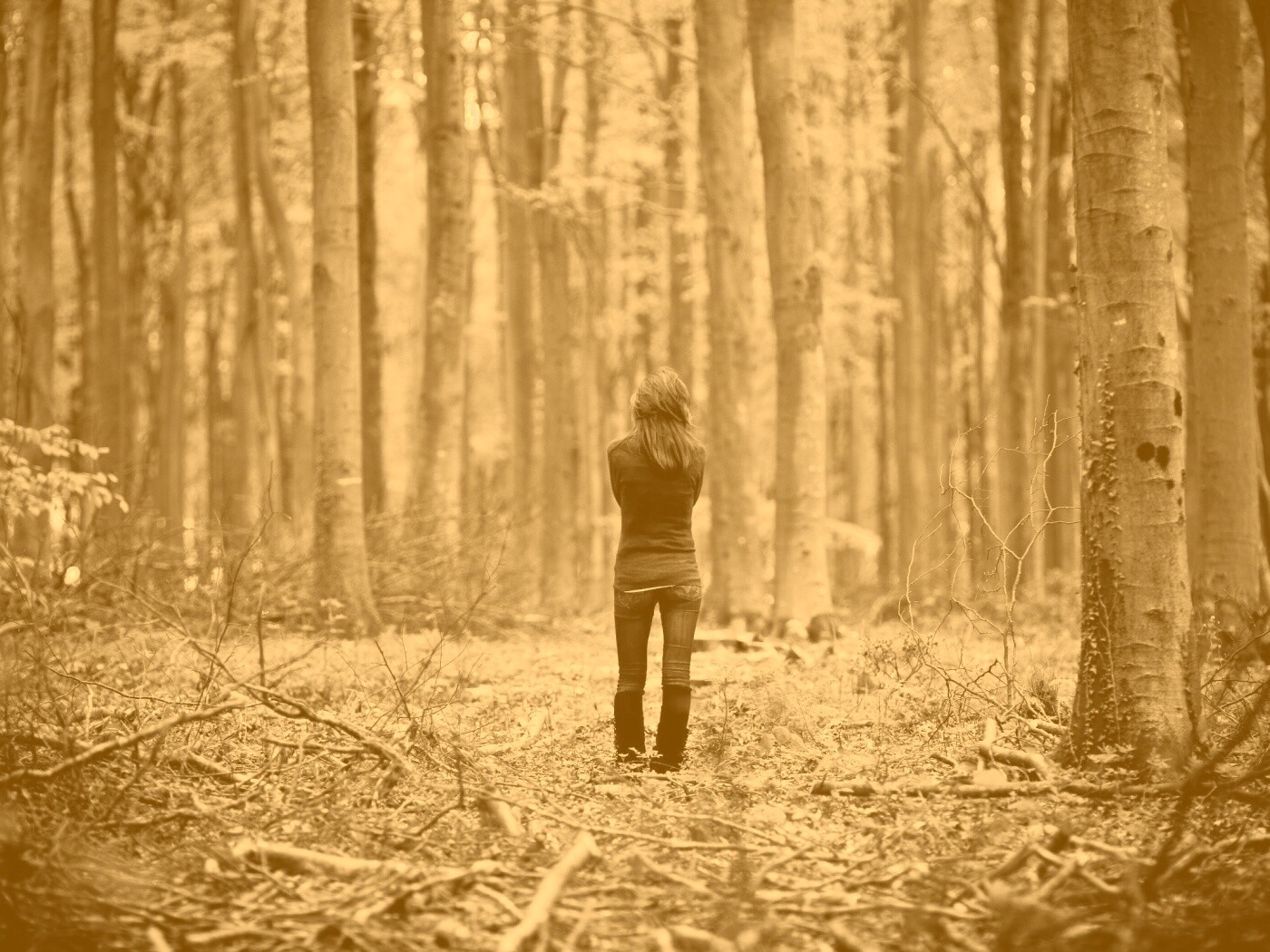 Одна в лесу обои