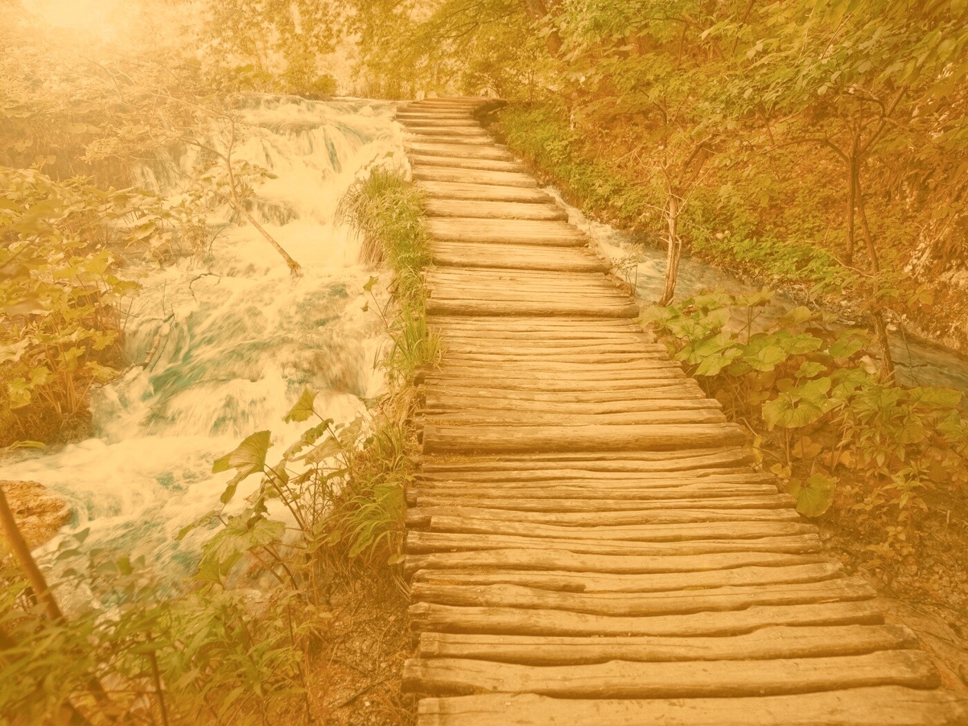 Деревянная дорожка над ручьем обои