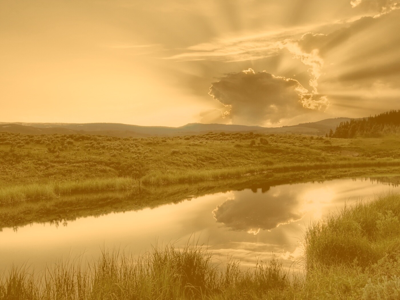 Облако над лугом обои