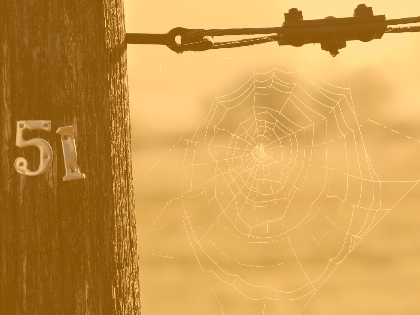 Паутина 51 обои